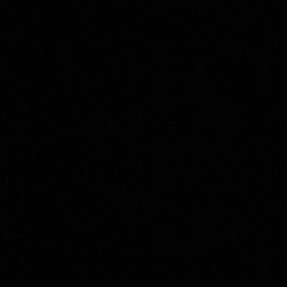 Meet your Posher, Ella